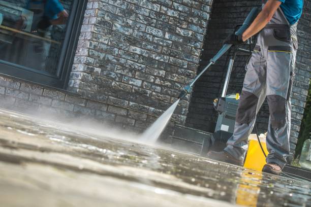Best House Exterior Washing  in Otsego, MN