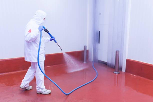 Best Patio and Deck Pressure Washing  in Otsego, MN