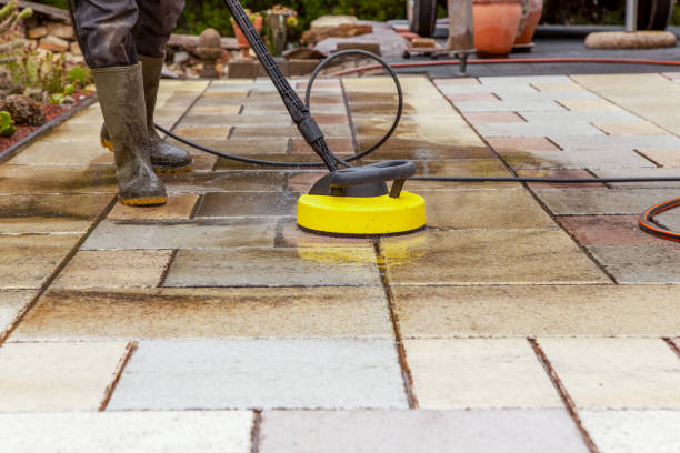 Animal Enclosure Cleaning in Otsego, MN