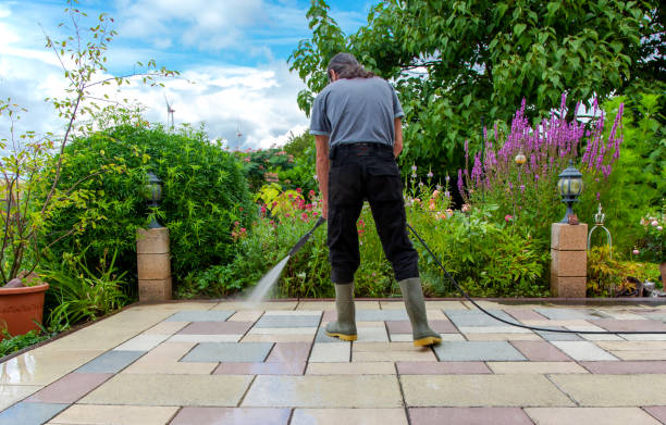 Best Pool Deck Cleaning  in Otsego, MN